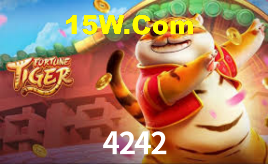 Premium Interface 4242