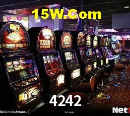 Experiência VIP 4242